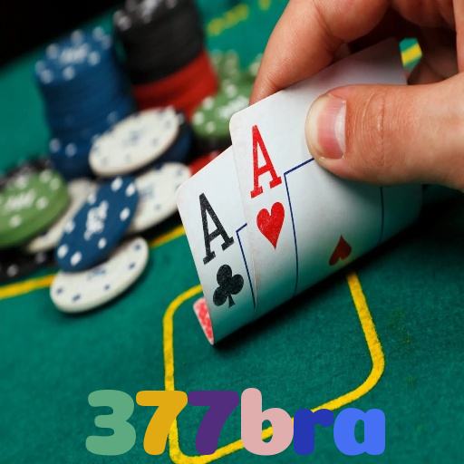377bra