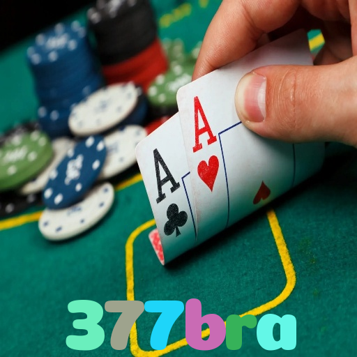 377bra